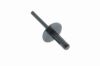 Expanding Rivet