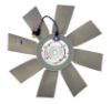 Fan, engine cooling
