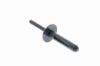 Expanding Rivet