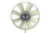 Fan, engine cooling