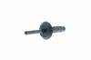 Expanding Rivet