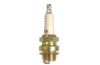 Spark Plug 2910 - MURUNIIDUK Standard