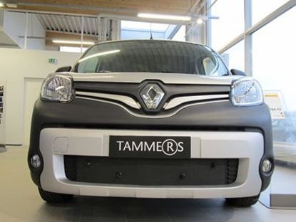 Trim/Protective Strip, radiator grille Renault Kangoo 14-