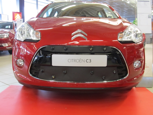 Trim/Protective Strip, radiator grille Citroen C3 10-13