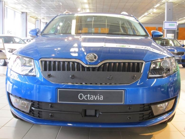Trim/Protective Strip, radiator grille Skoda Octavia 2013-2017, ees anduriga