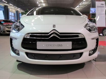 Trim/Protective Strip, radiator grille CITROEN DS5 2012-