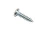 Screw Plekikruvi RXS 4.8x19 PZ, 10tk