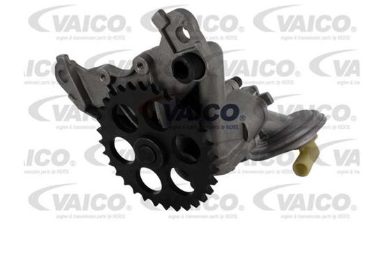 Oil Pump AUDI-VW