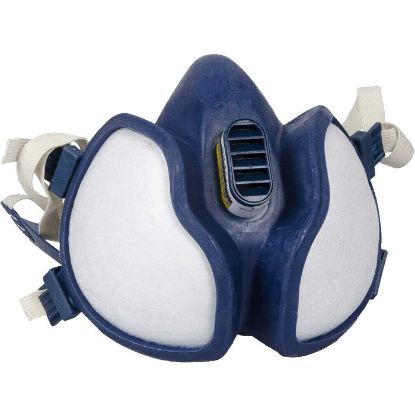 Respiratory Mask poolmask 4277 FFABE1P3 RD