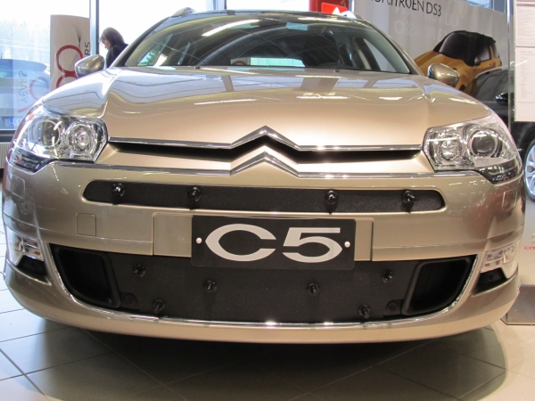 Trim/Protective Strip, radiator grille Citroen C5 2008-2015