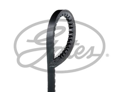 V- BeIt 12.5 x 900La