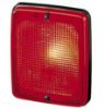 Tail Light Piduri tuli - RT