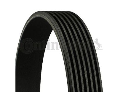 V-Ribbed Belt VOLVO - 31375459