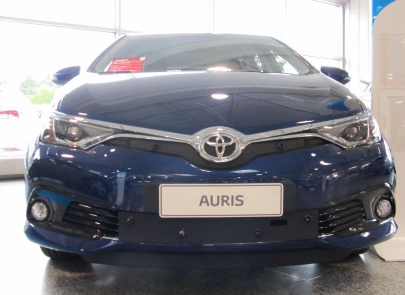 Trim/Protective Strip, radiator grille Toyota Auris 2015-