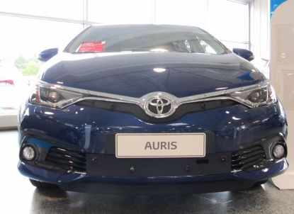 Trim/Protective Strip, radiator grille Toyota Auris 2015-