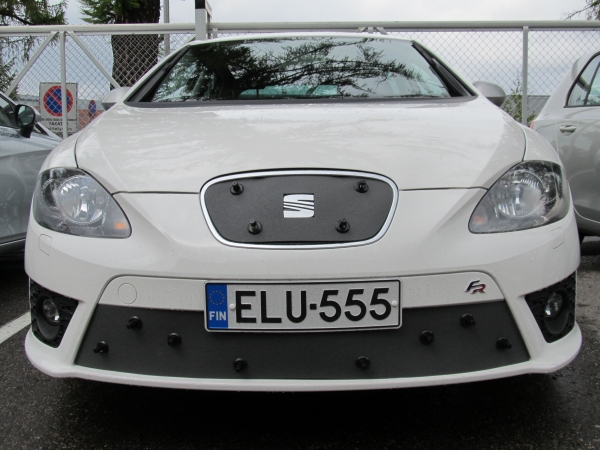 Trim/Protective Strip, radiator grille Seat Leon FR 2011-