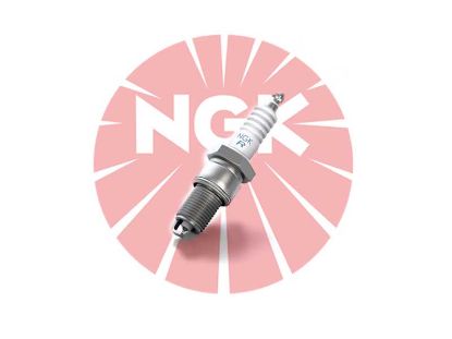 Spark Plug 6955 - MC Standard