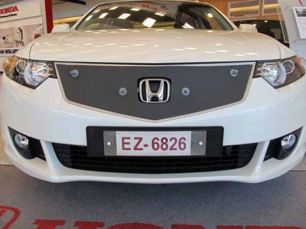 Trim/Protective Strip, radiator grille Honda Accord 2009-2011