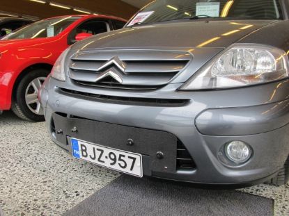 Trim/Protective Strip, radiator grille Citroen C3 2005-2009