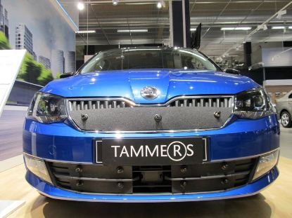Trim/Protective Strip, radiator grille Skoda Fabia 15-19