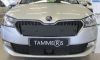 Trim/Protective Strip, radiator grille Skoda Fabia 20-