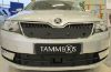 Trim/Protective Strip, radiator grille Skoda Rapid 2015-2017 esikaameraga