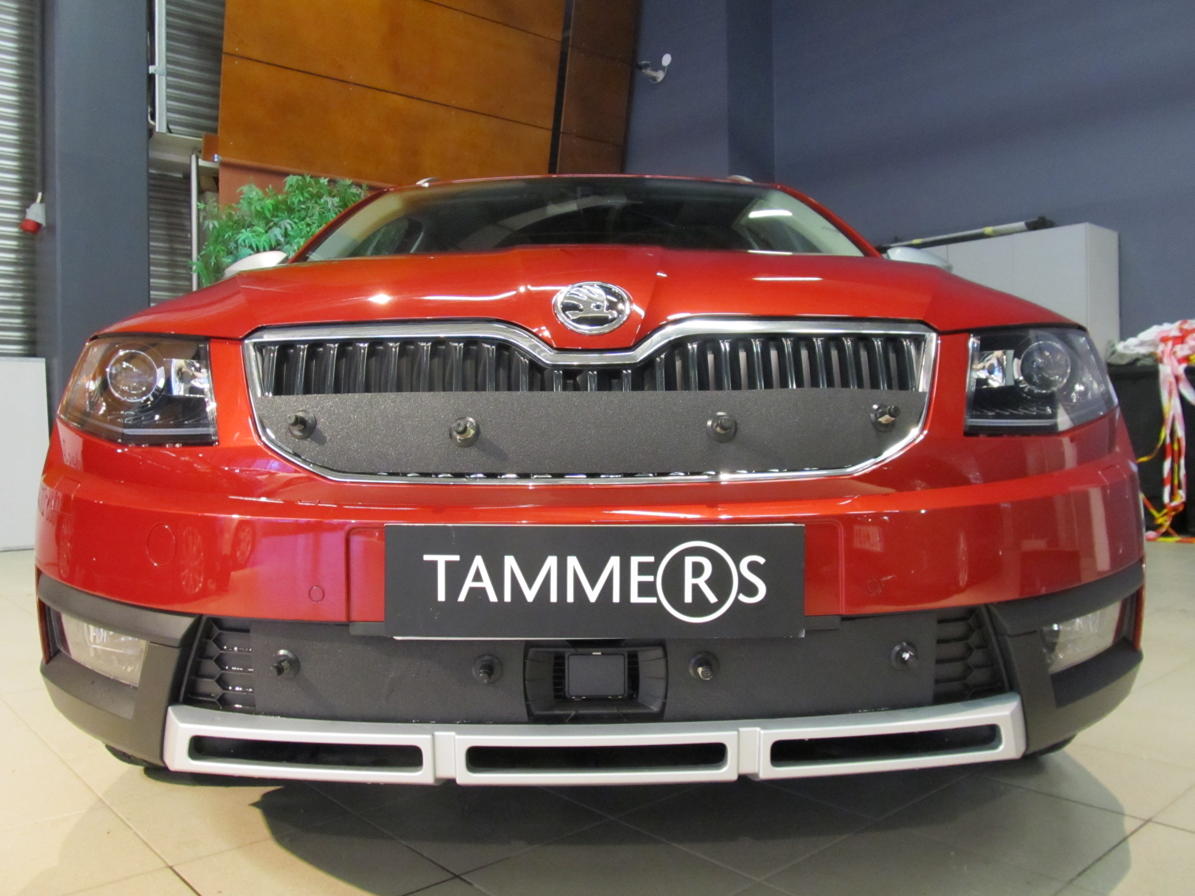 Trim/Protective Strip, radiator grille Skoda Octavia Scout 2015-2016