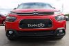 Trim/Protective Strip, radiator grille Citroen C4 Cactus 18-21