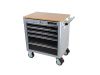 Tool Trolley 5 sahtliga Hall