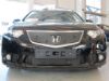 Trim/Protective Strip, radiator grille Honda Accord 2012-
