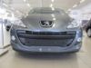 Trim/Protective Strip, radiator grille Peugeot 307 2006-2009