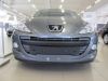 Trim/Protective Strip, radiator grille Peugeot 307 2006-2009