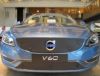 Trim/Protective Strip, radiator grille Volvo V60 2014- (ei CWAB)
