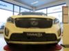 Trim/Protective Strip, radiator grille KIA Sorento 15-