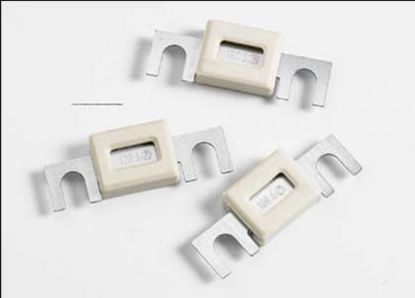 Fuse 60A 30mm 36V korpusega