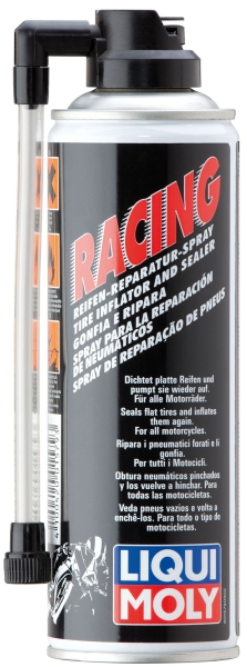 Engine Oil Additive rehviremondivaht 300ml