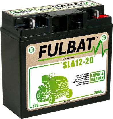 Starter Battery 