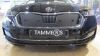 Trim/Protective Strip, radiator grille Skoda Octavia 20-