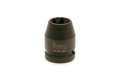 Socket Wrench Insert TORX E20, jõu