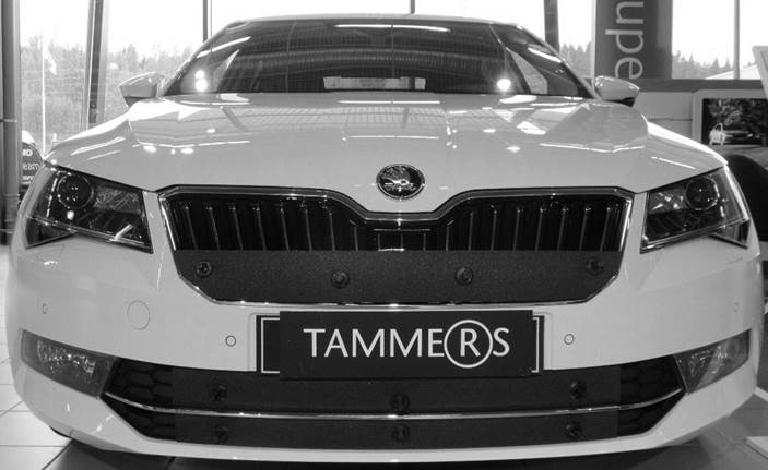 Trim/Protective Strip, radiator grille Skoda Superb 2015-