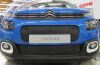 Trim/Protective Strip, radiator grille Citroen C3 2016-