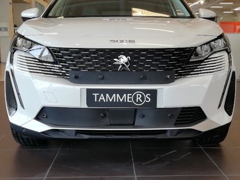 Trim/Protective Strip, radiator grille Peugeot 3008 2021-