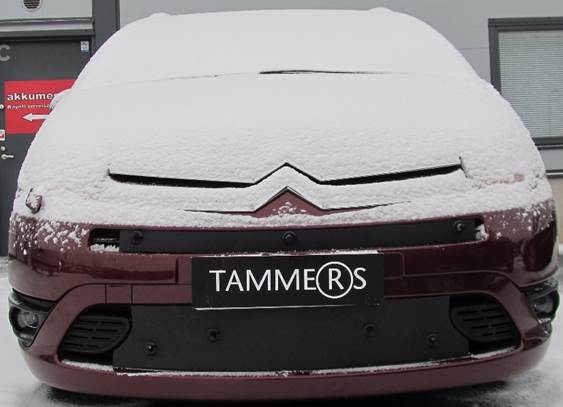 Trim/Protective Strip, radiator grille Citroen C4 Grand Picasso 2007-2010