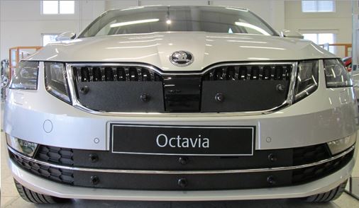 Trim/Protective Strip, radiator grille Skoda Octavia 2017-