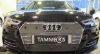Trim/Protective Strip, radiator grille Audi A4 2016- (kroomitud iluvõre)