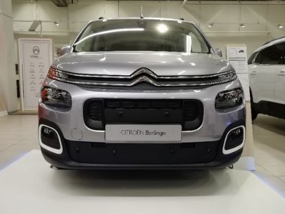 Trim/Protective Strip, radiator grille Citroen Berlingo 20-