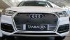Trim/Protective Strip, radiator grille Audi Q5 2017-