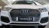 Trim/Protective Strip, radiator grille Audi Q5 2017-