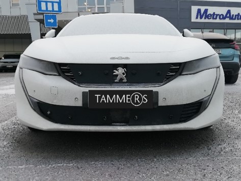 Trim/Protective Strip, radiator grille Peugeot 508 20-