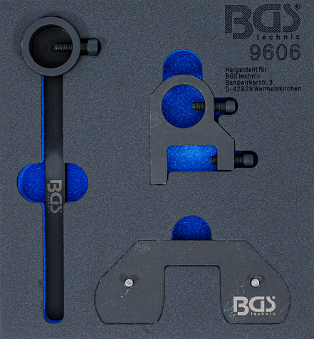 Retaining Tool Set, crankshaft Balansiirvõllide ajastamiseks Land Rover, PSA 2,2